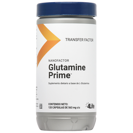 glutamine prime 1000x1000 (1)
